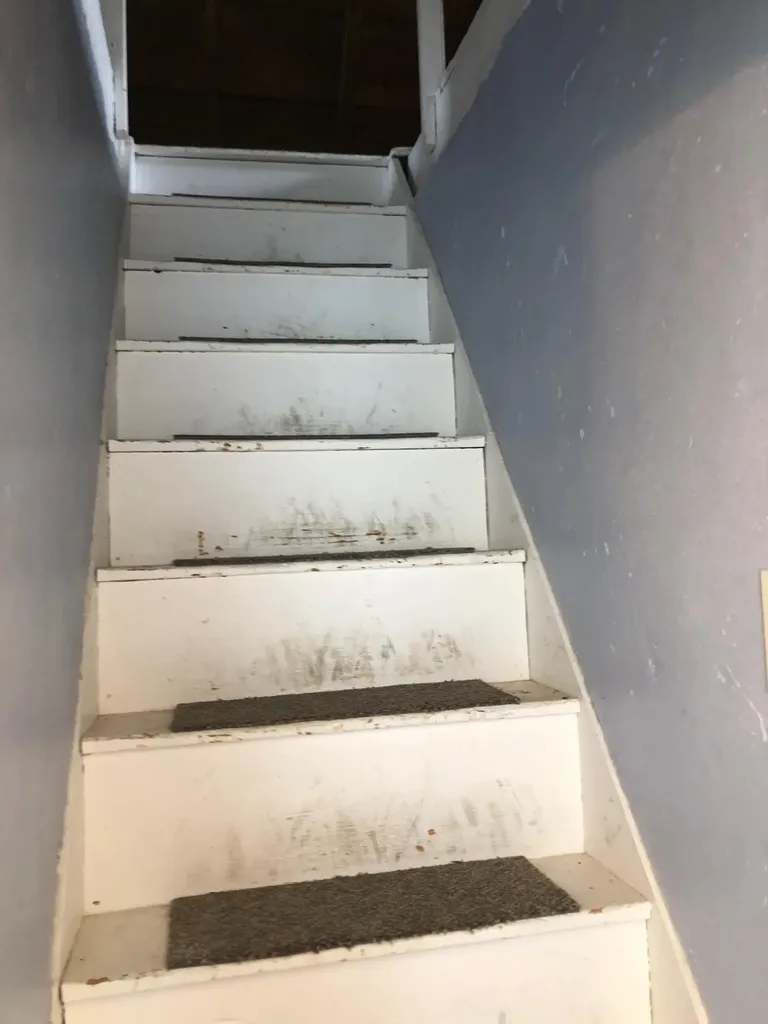 42 Webster Avenue Bangor ME 04401
