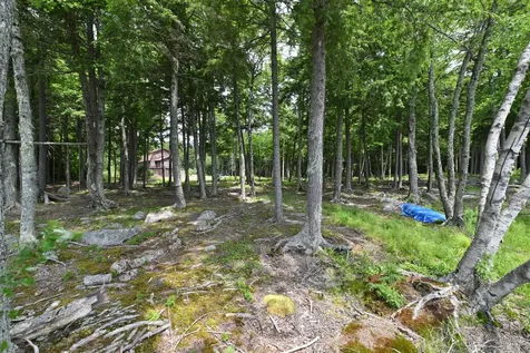 309 Rocky Road Lakeville ME 04487