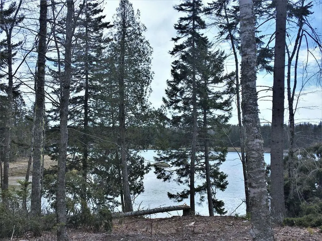Lot 13 Stillwater Drive Steuben ME 04680