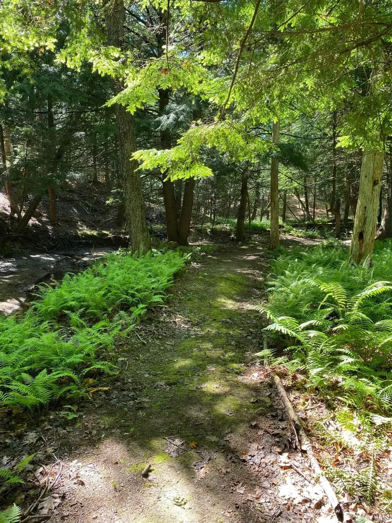 49 Harts Way Gorham ME 04038