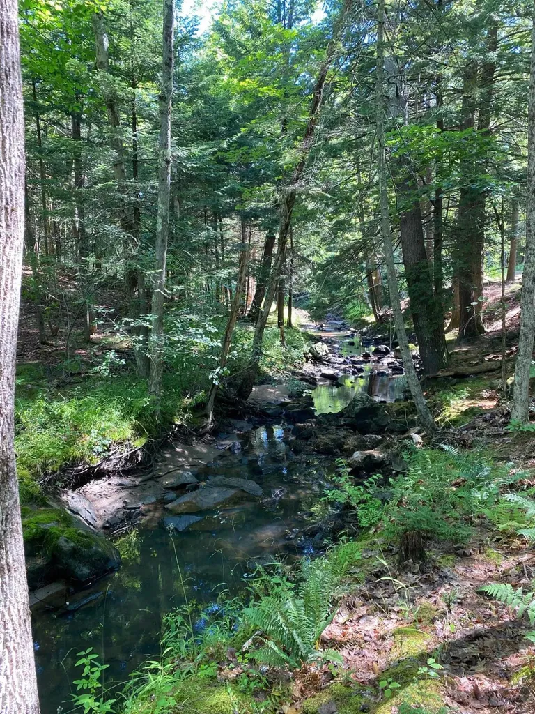 49 Harts Way Gorham ME 04038