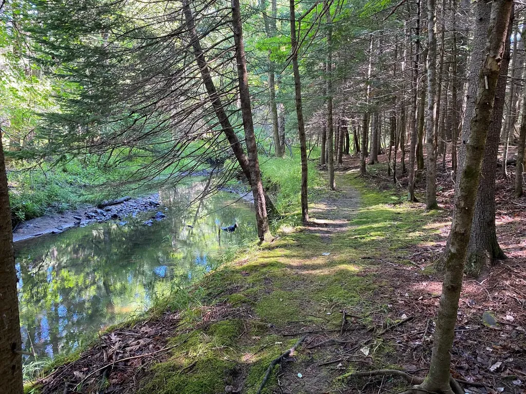 49 Harts Way Gorham ME 04038