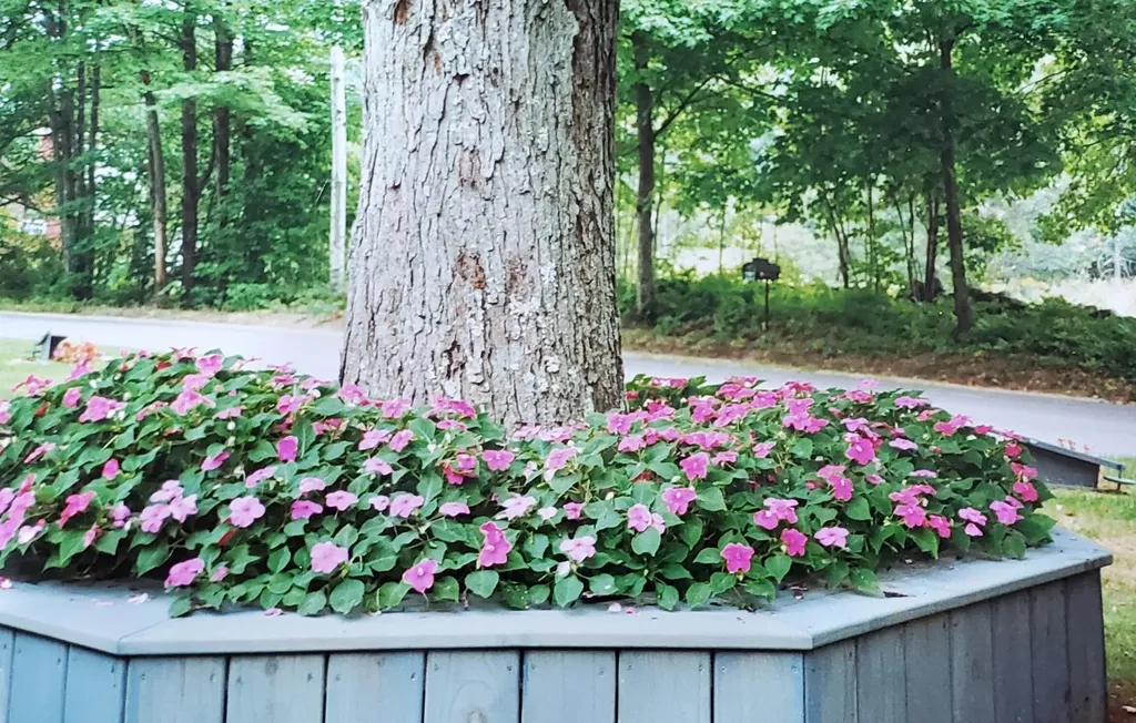 24 Pine Hill Road Limington ME 04049
