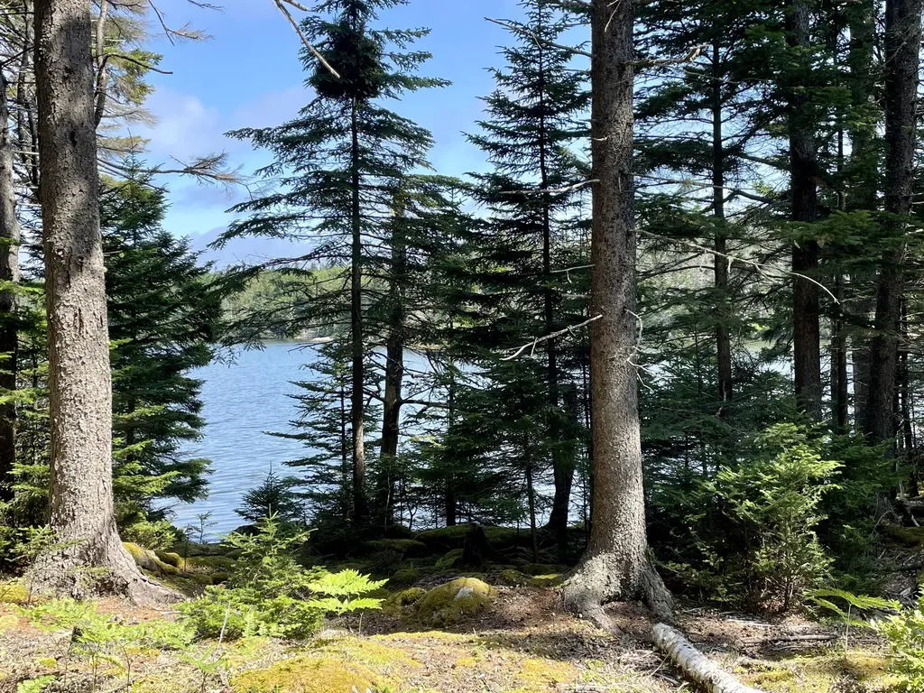 0A Old Harbor Road Vinalhaven ME 04863