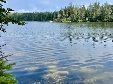 0A Old Harbor Road Vinalhaven ME 04863