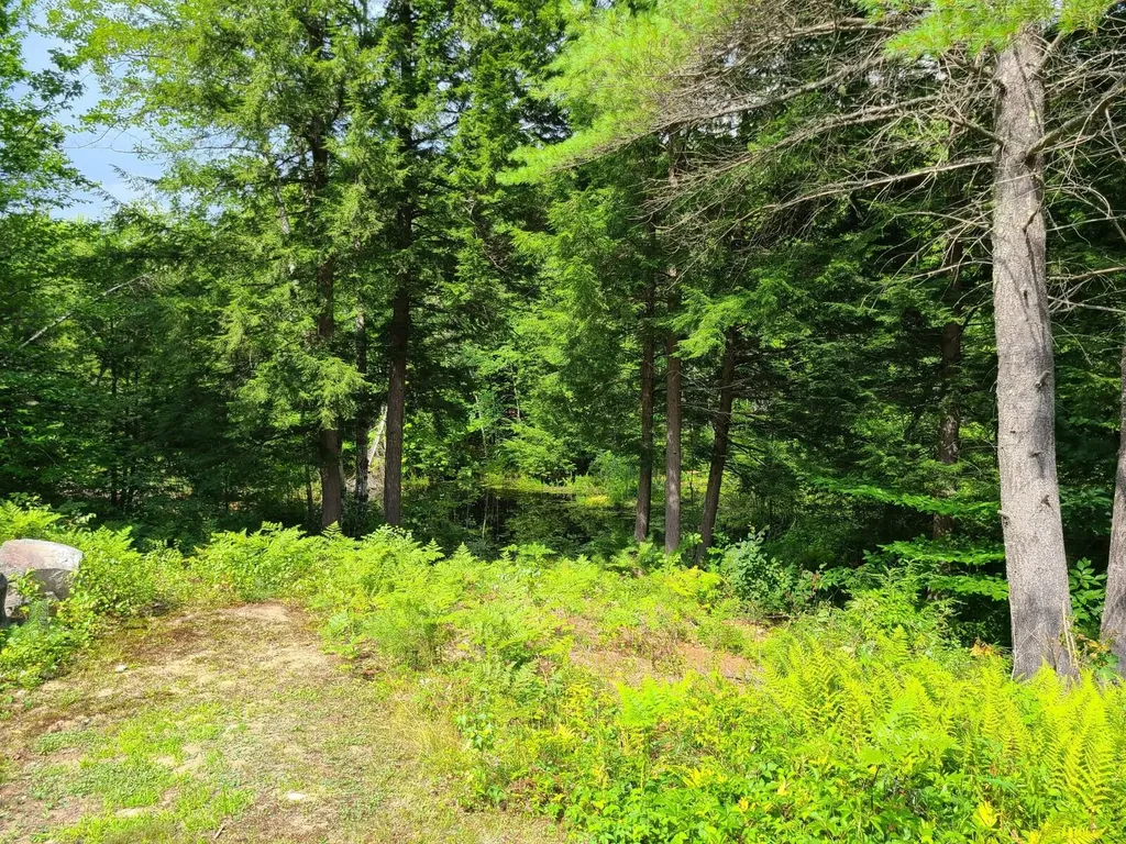 81 Raspberry Lane Bridgton ME 04009