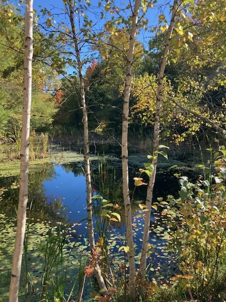 81 Raspberry Lane Bridgton ME 04009
