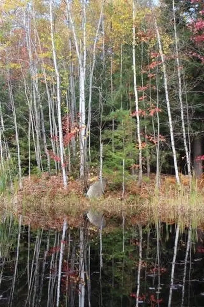 81 Raspberry Lane Bridgton ME 04009