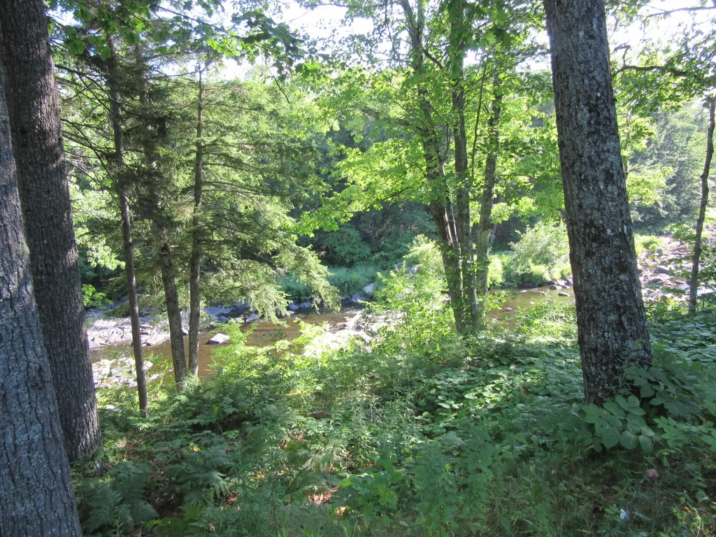 47 Pineview Drive Winterport ME 04496
