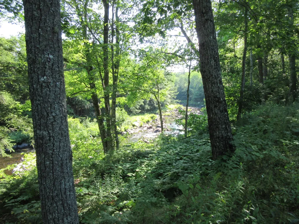 47 Pineview Drive Winterport ME 04496