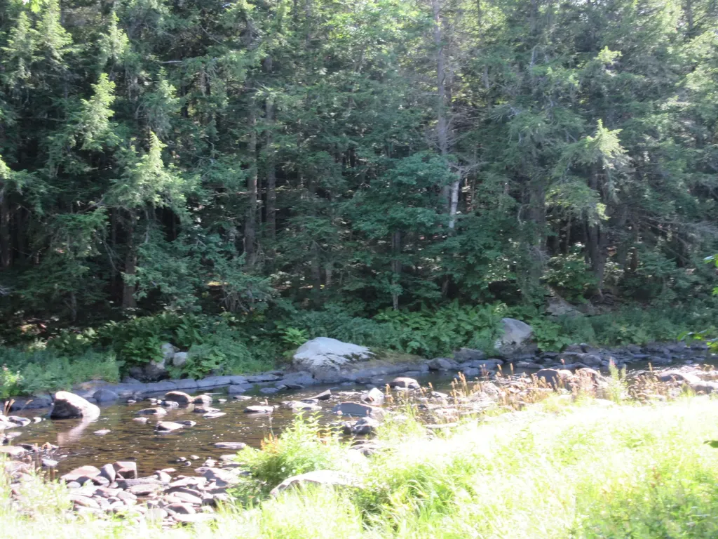 47 Pineview Drive Winterport ME 04496