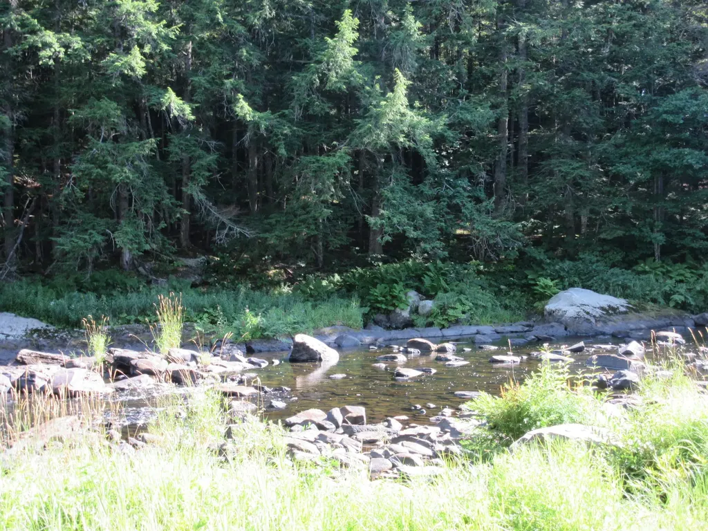 47 Pineview Drive Winterport ME 04496