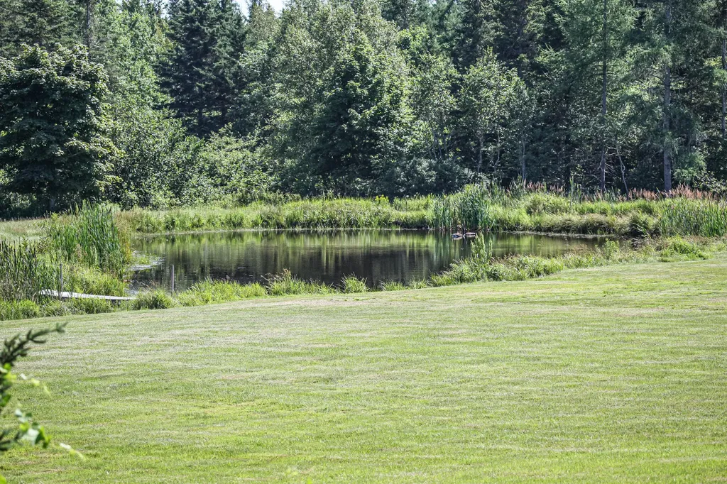 59 Tunk Lake Road Sullivan ME 04664
