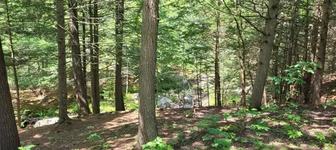 6 Montsweag Valley Road Wiscasset ME 04578