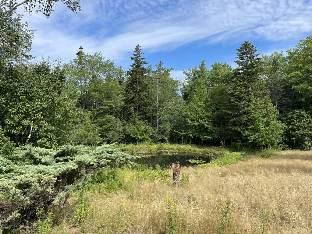 627 Naskeag Road Brooklin ME 04616