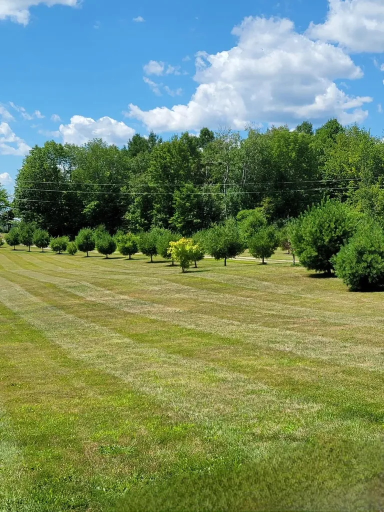 645 Old County Road Etna ME 04434