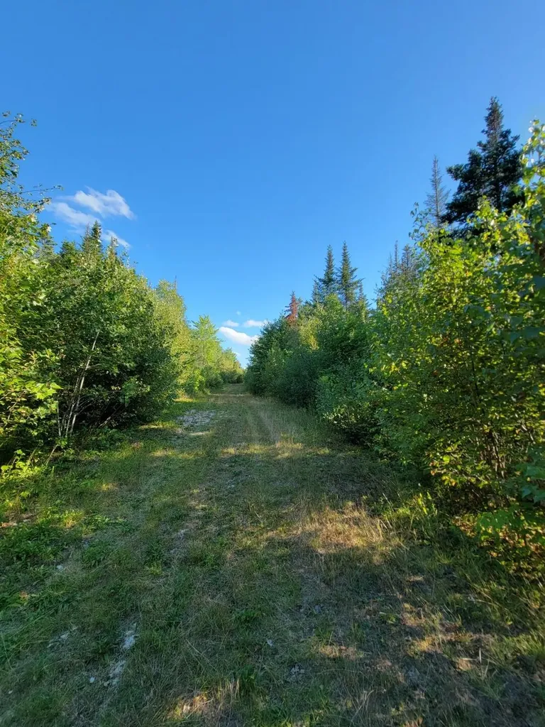 645 Old County Road Etna ME 04434
