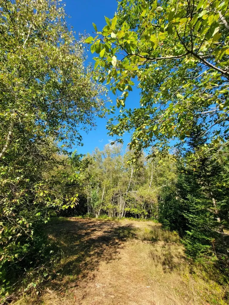 645 Old County Road Etna ME 04434