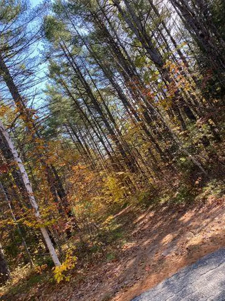 Map 16 Lot 10 Sanborn Road Fryeburg ME 04037