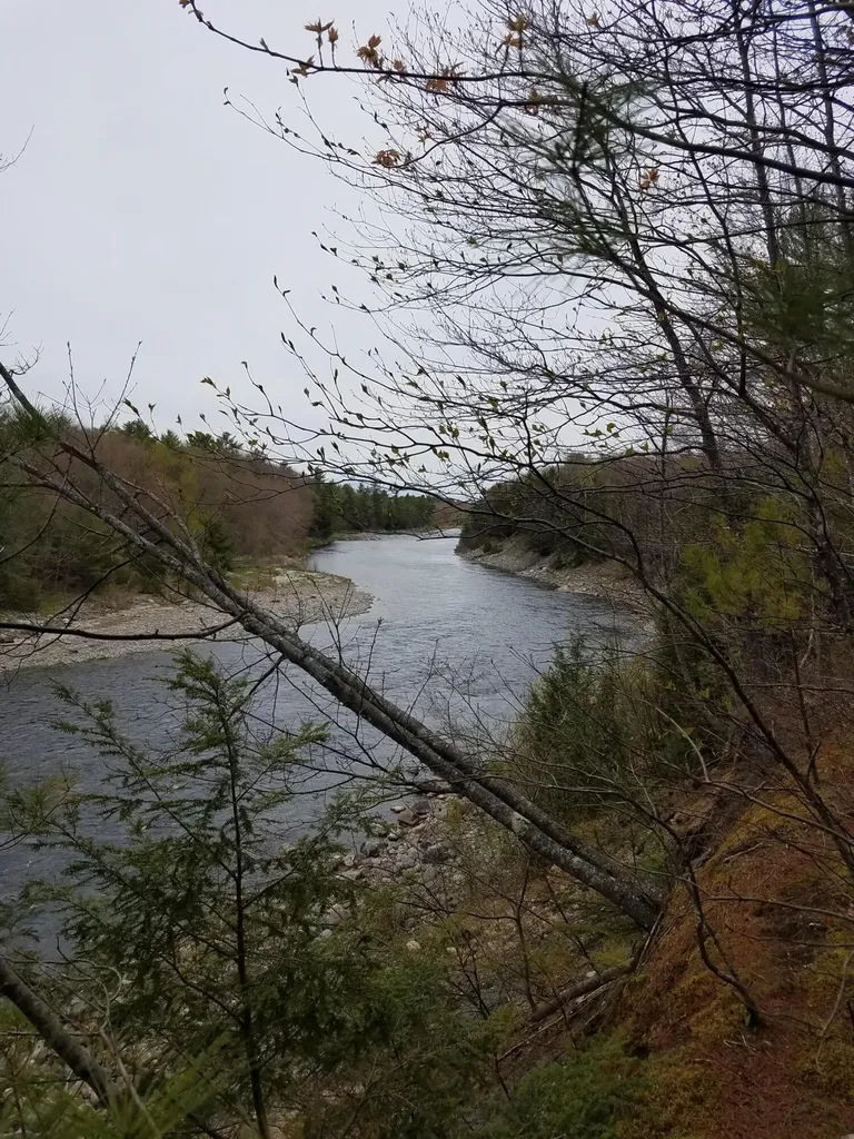 Tbd Us Route 2 New Sharon ME 04955