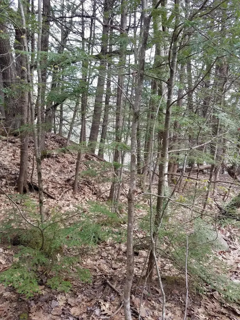 Tbd Us Route 2 New Sharon ME 04955
