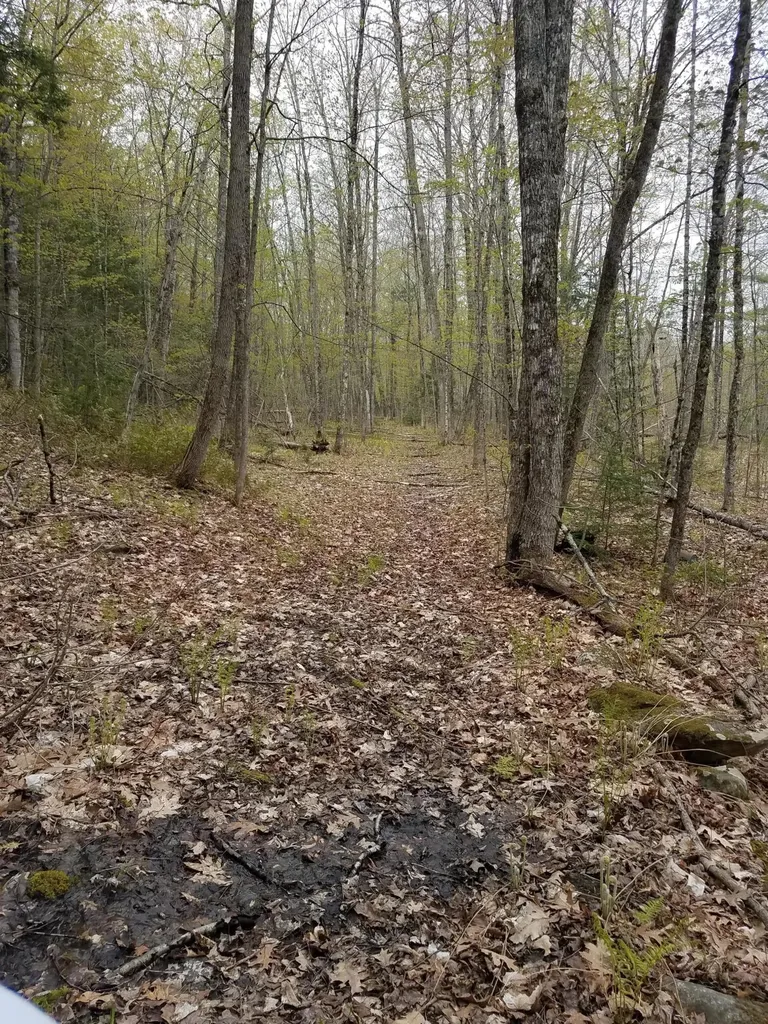 Tbd Us Route 2 New Sharon ME 04955