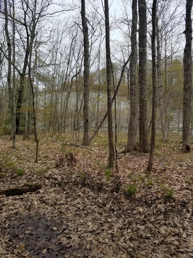 Tbd Us Route 2 New Sharon ME 04955