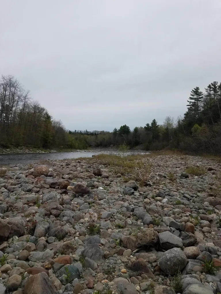 Tbd Us Route 2 New Sharon ME 04955