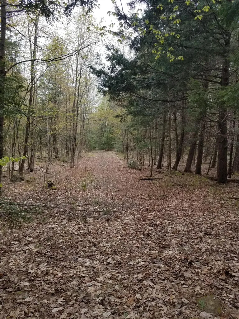 Tbd Us Route 2 New Sharon ME 04955