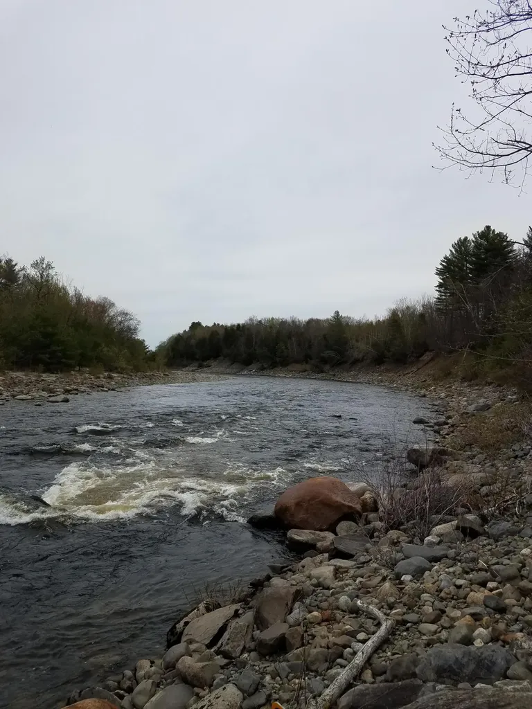 Tbd Us Route 2 New Sharon ME 04955