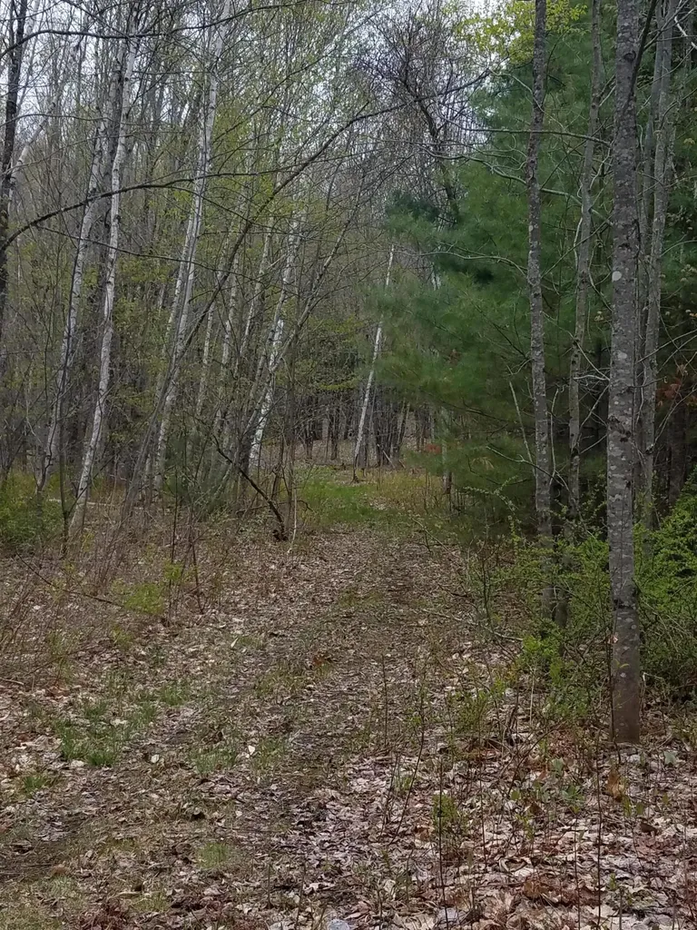 Tbd Us Route 2 New Sharon ME 04955