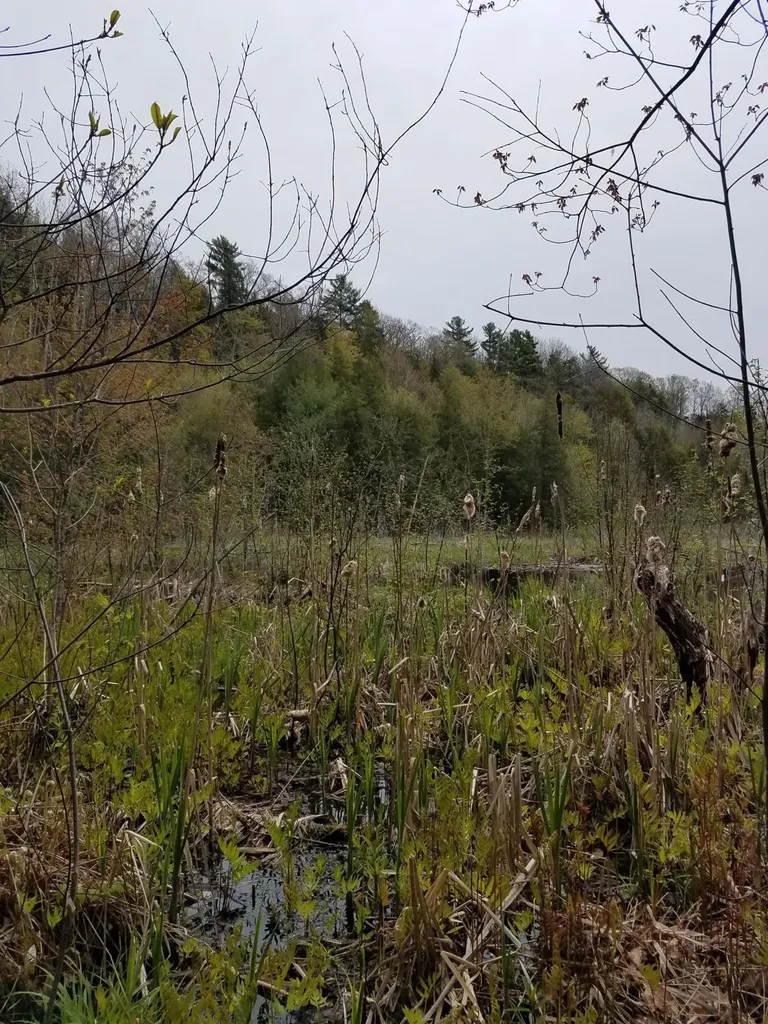 Tbd Us Route 2 New Sharon ME 04955