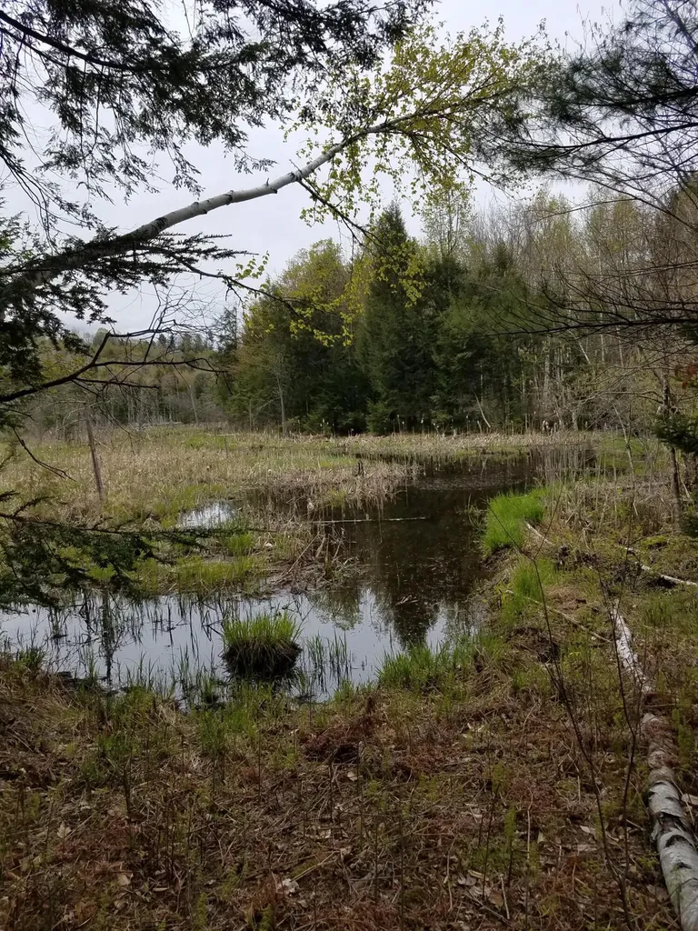 Tbd Us Route 2 New Sharon ME 04955