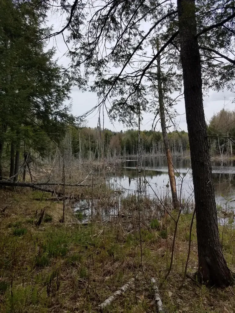 Tbd Us Route 2 New Sharon ME 04955