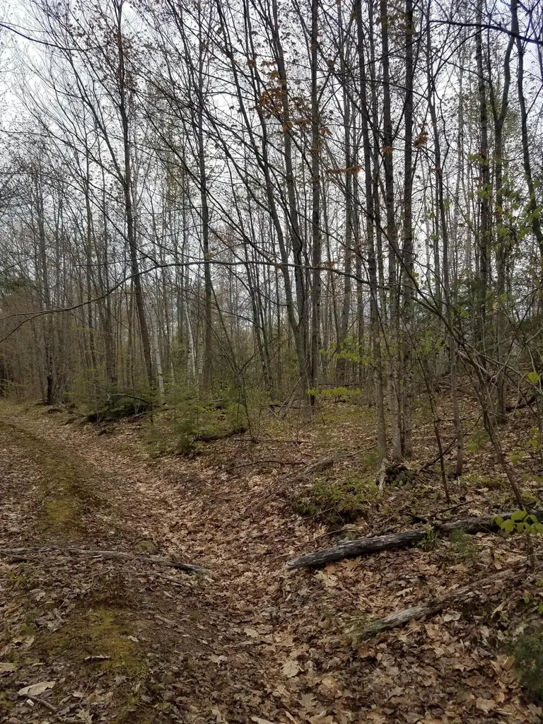 Tbd Us Route 2 New Sharon ME 04955