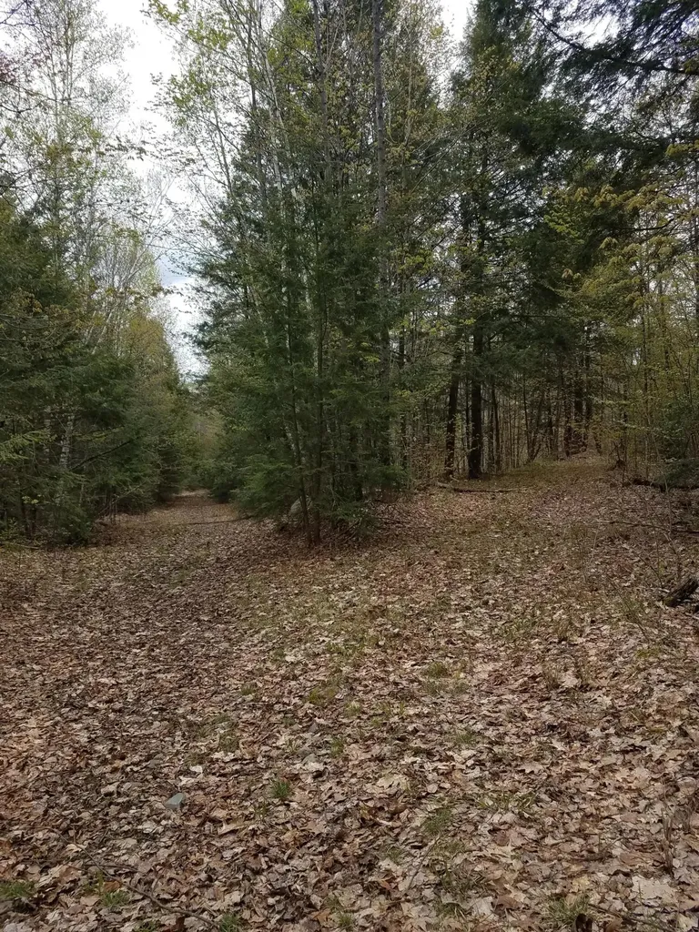 Tbd Us Route 2 New Sharon ME 04955