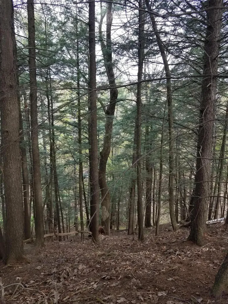 Tbd Us Route 2 New Sharon ME 04955
