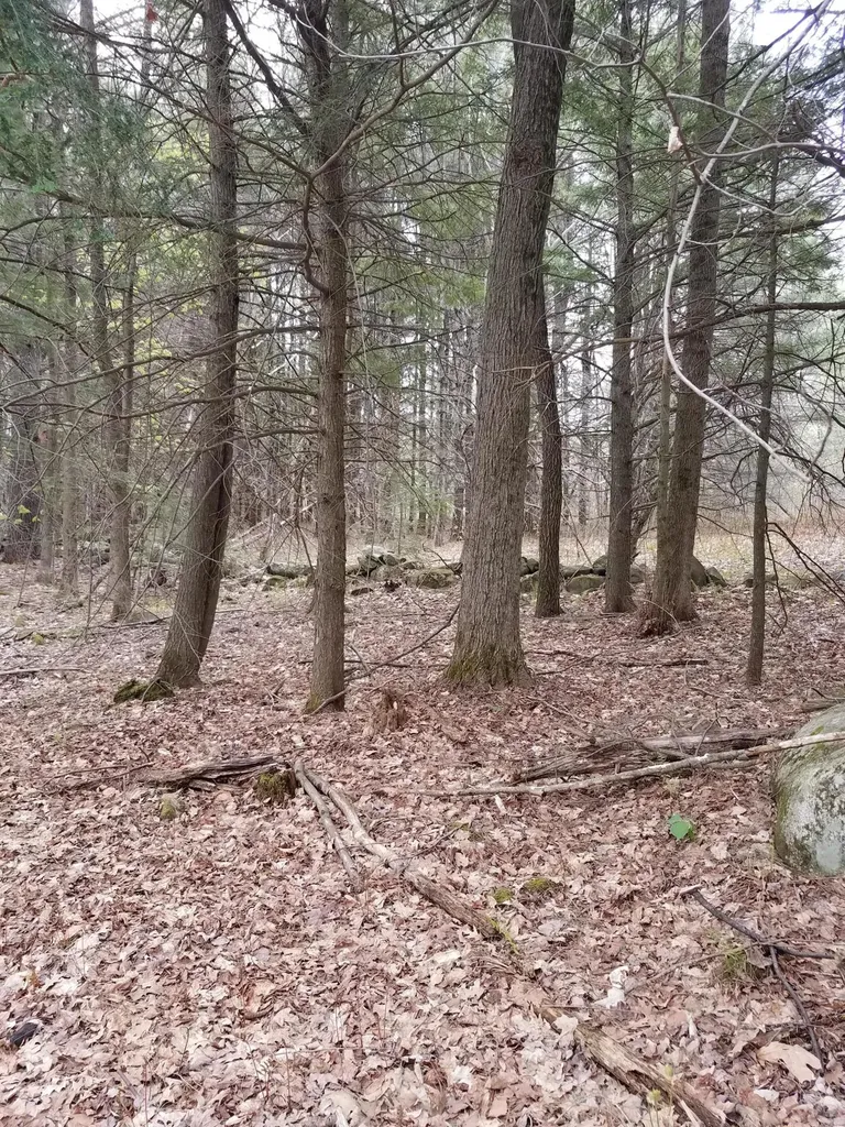 Tbd Us Route 2 New Sharon ME 04955