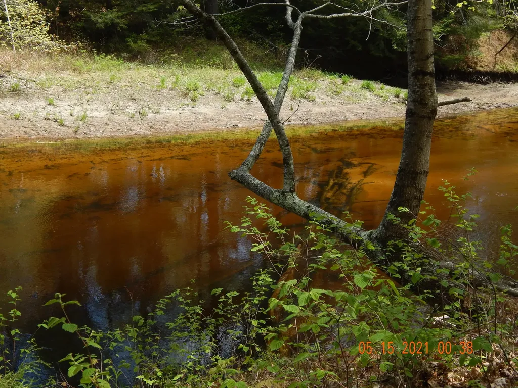 17 Sand Road Naples ME 04055