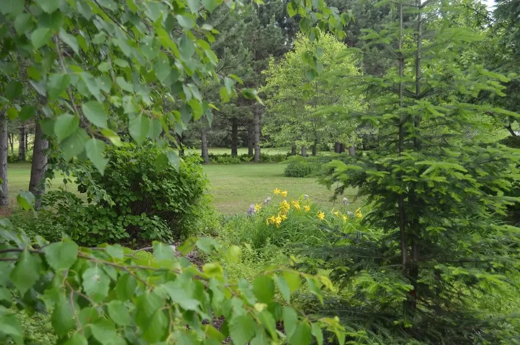 715 St. John Road Fort Kent ME 04743