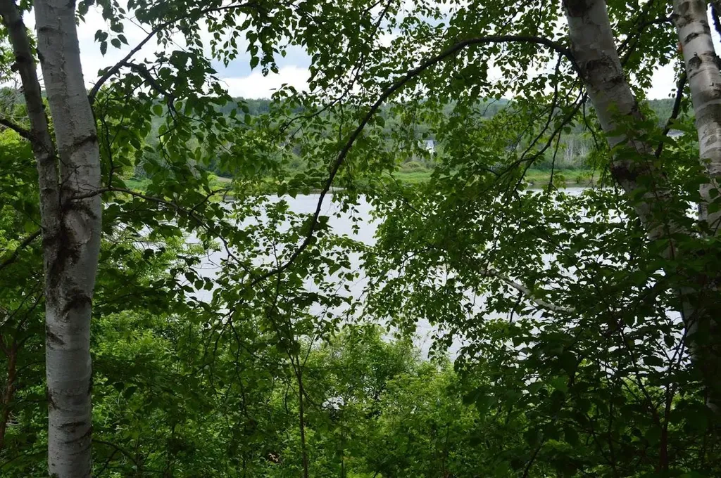 715 St. John Road Fort Kent ME 04743