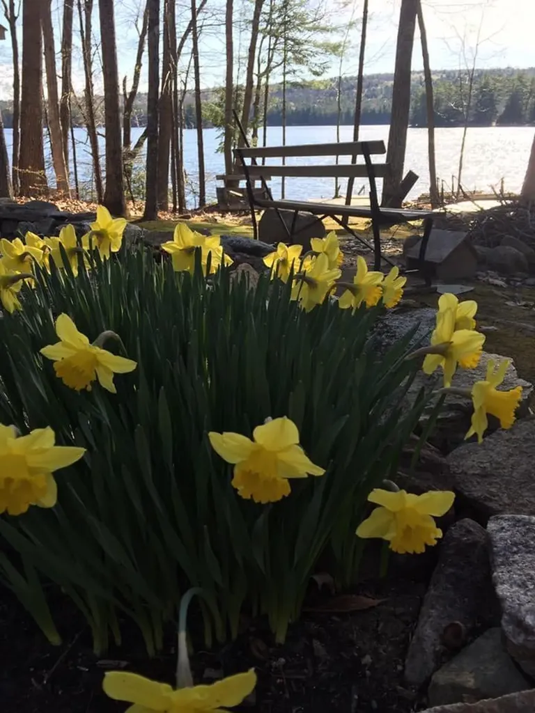 73 Swans Road Raymond ME 04071