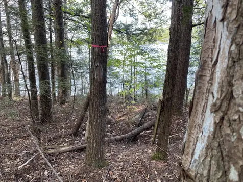 31 Hammie Road Molunkus Twp ME 04459