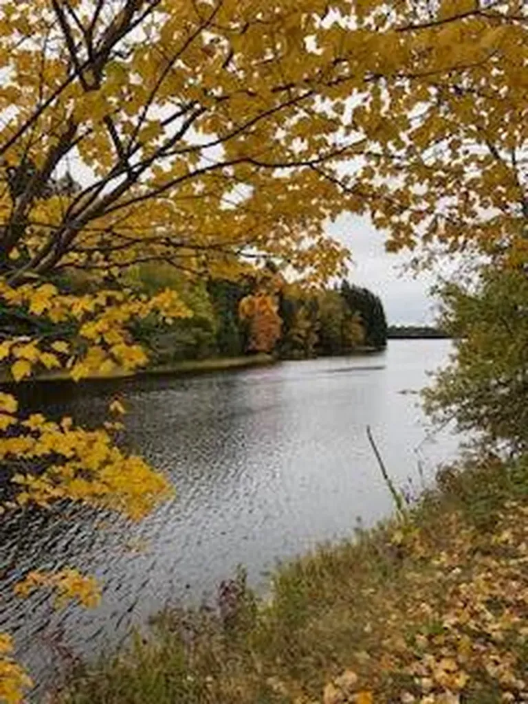 642 Main Street East Machias ME 04630