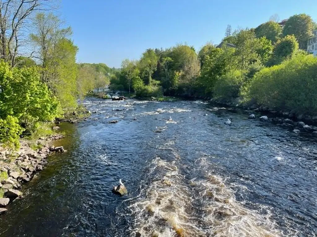 642 Main Street East Machias ME 04630