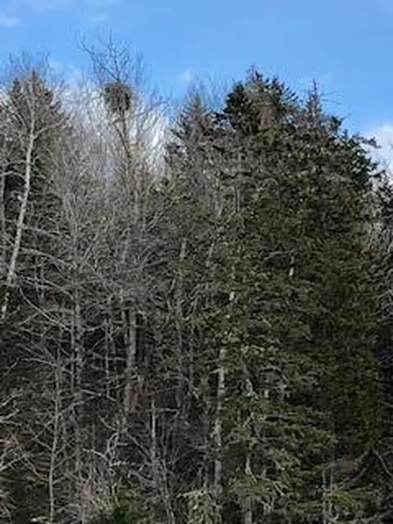 642 Main Street East Machias ME 04630