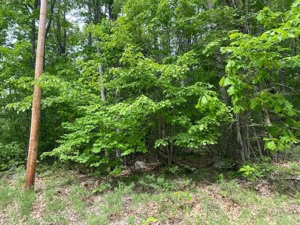 Map 41 Lot Grandview Drive Limerick ME 04048