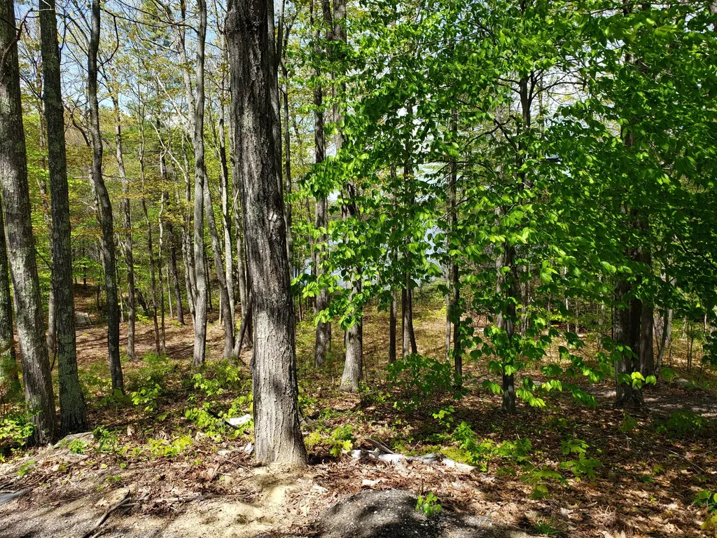 45 Clark Lane Greene ME 04236