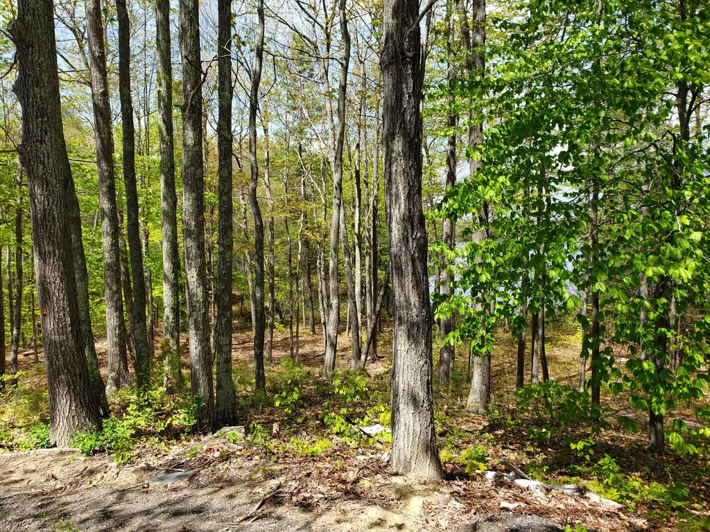 45 Clark Lane Greene ME 04236