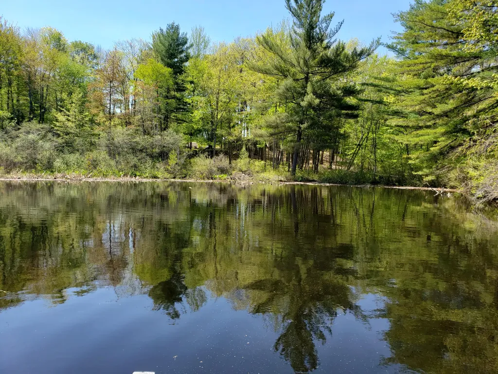 45 Clark Lane Greene ME 04236